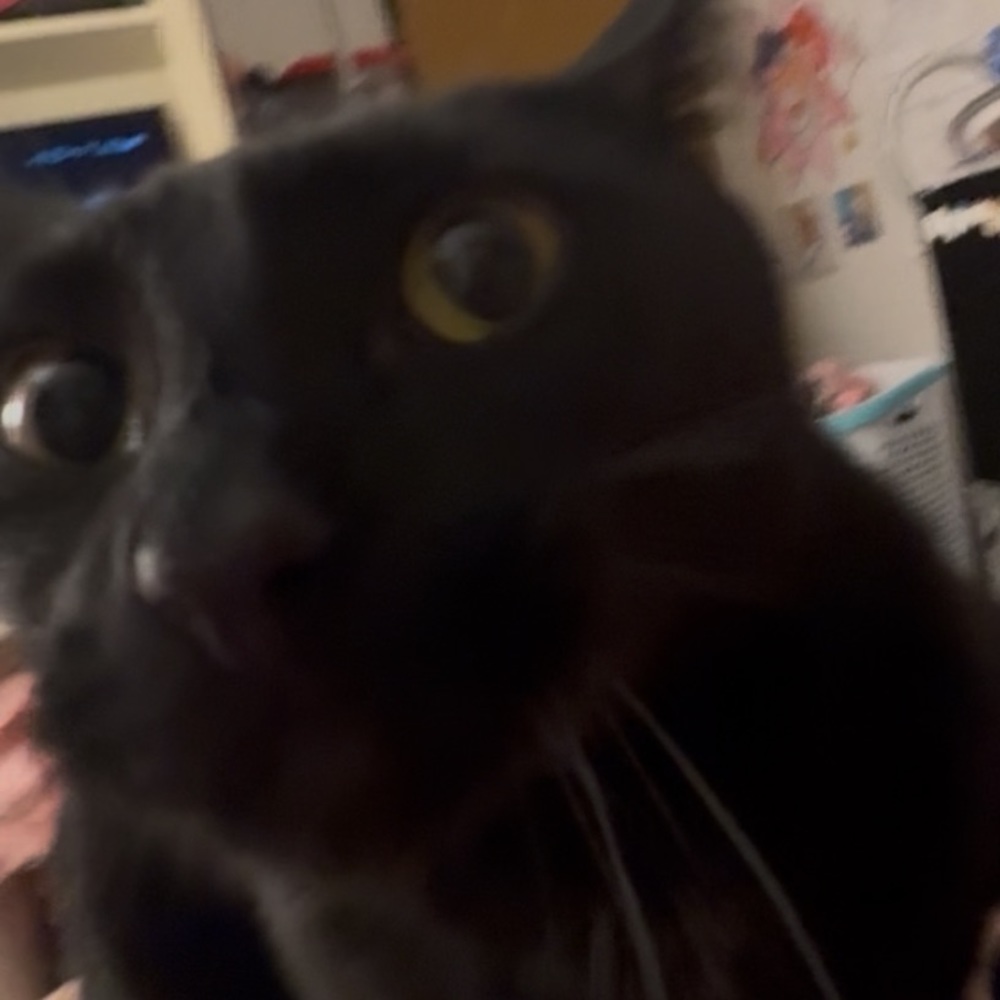 Meet your Posher, Jack